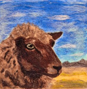 Cedar the Sheep